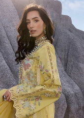 Dilara-B | Saira Shakira