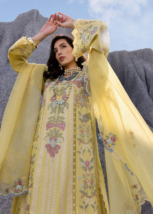 Dilara-B | Saira Shakira
